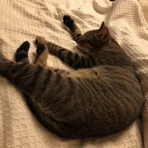 Meet your Posher, Chloe